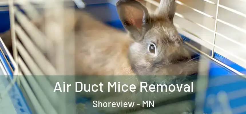  Air Duct Mice Removal Shoreview - MN