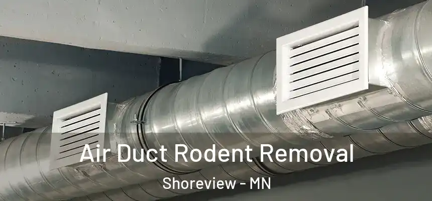  Air Duct Rodent Removal Shoreview - MN