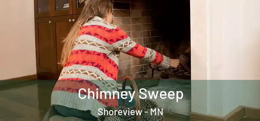  Chimney Sweep Shoreview - MN