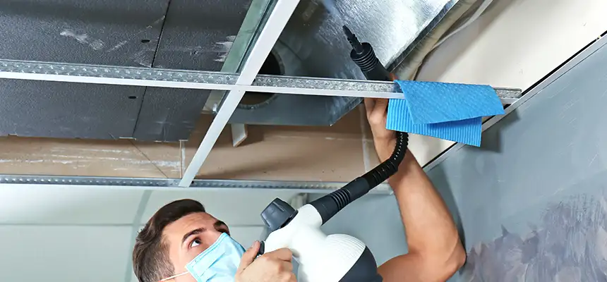 Our Air Duct Rodent Removal Services in Shoreview, MN