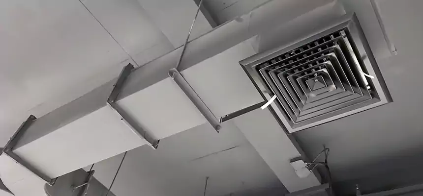 Restorative Allergy Relief Vent Cleaning – Coil, Blower & Housing Detail in Shoreview