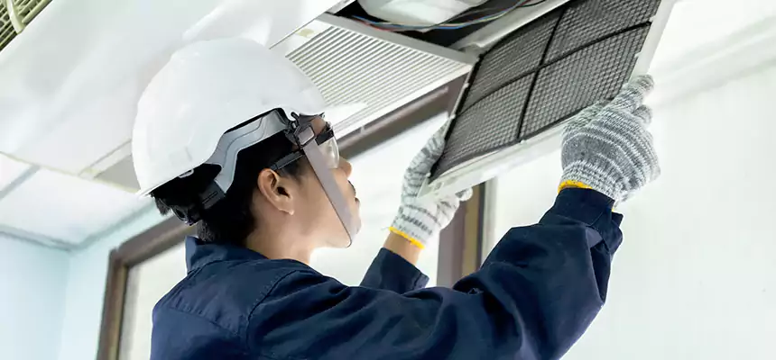 Our Mold & Mildew Removal from Air Ducts Services in Shoreview, MN