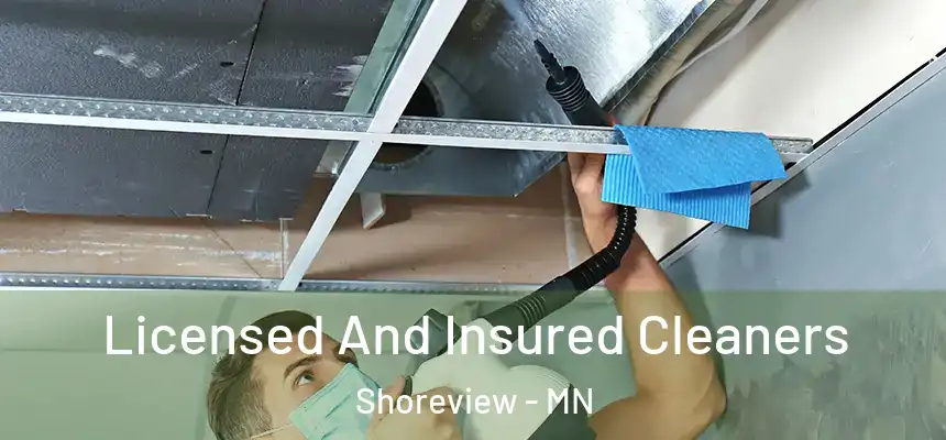  Licensed And Insured Cleaners Shoreview - MN