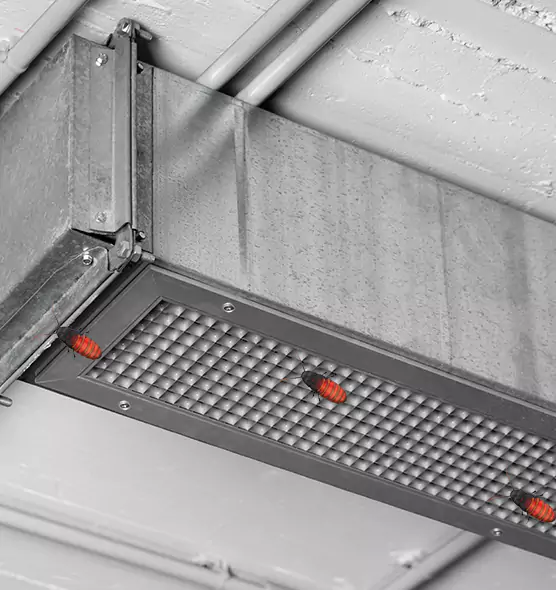 About Air Duct Cockroach Removal in Shoreview, MN