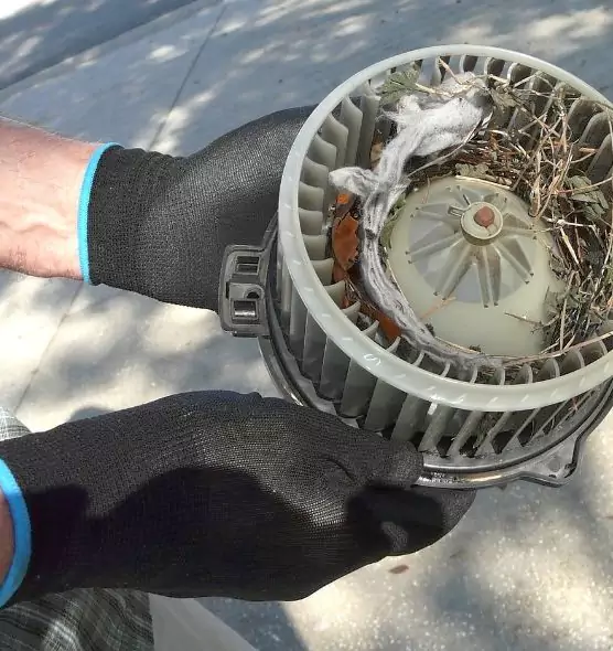 About Air Duct Rat Removal in Shoreview, MN