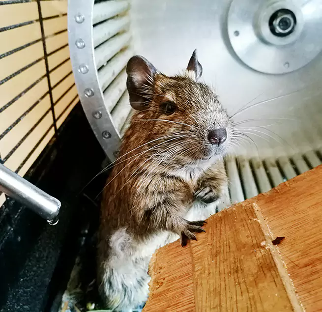 Why Homeowners & Businesses Trust Us Shoreview, MN?