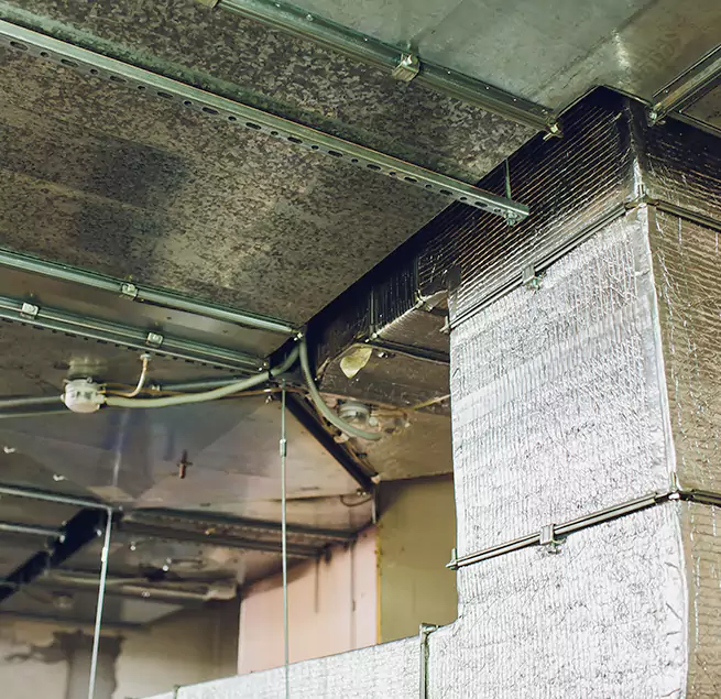 Why Homeowners & Businesses Trust Us in Shoreview, MN?